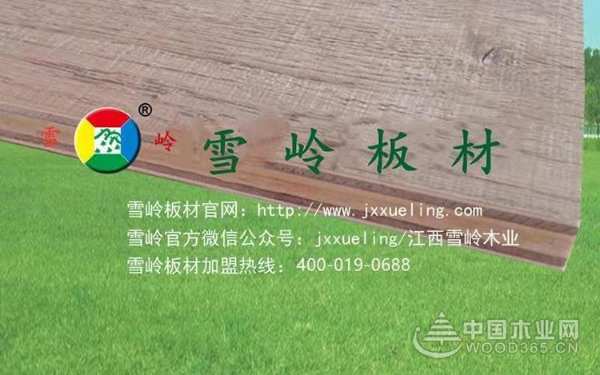 加速品牌布局与落地！江西雪岭木业与中国木业网正式达成战略合作！