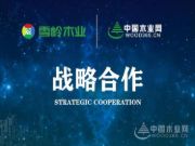 加速品牌布局与落地！江西雪岭木业与中国木业网正式达成战略合作！