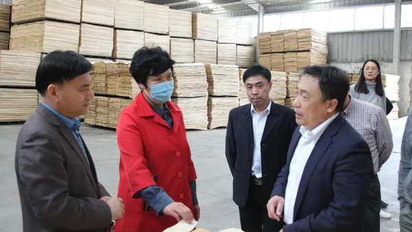 团体标准《难燃浸渍胶膜纸饰面胶合板和细木工板》第 一次起草会议在灵寿召开