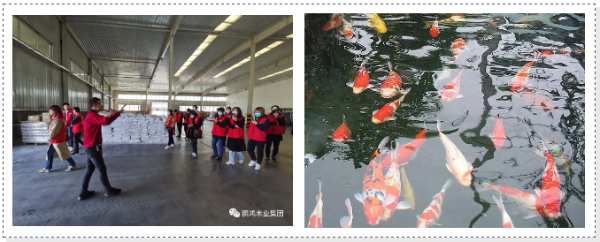 鹏鸿工厂开放日，让品质成为共同的信仰