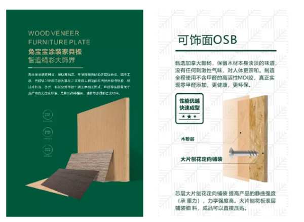 兔宝宝定制家居绿色板材峰会大盘点