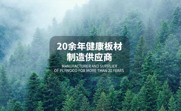 板材十大品牌揭秘，多层板为何更坚固耐用？