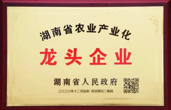 新年伊始，鸿运当头，福湘又获新荣誉！