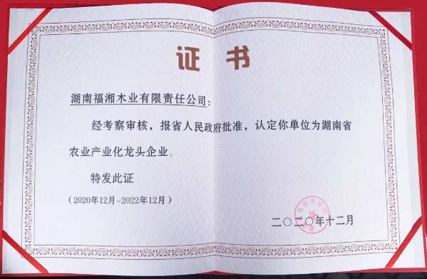新年伊始，鸿运当头，福湘又获新荣誉！