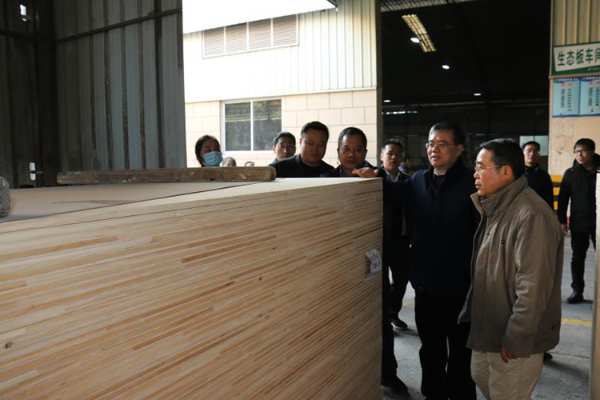 南宁市副市长刘为民等领导莅临明源木业调研指导