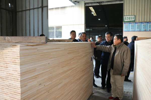 南宁市副市长刘为民等领导莅临明源木业调研指导