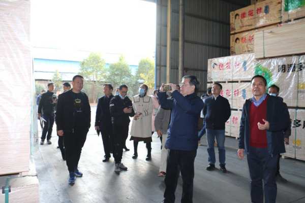 南宁市副市长刘为民等领导莅临明源木业调研指导