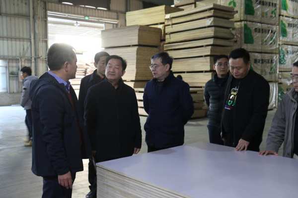 南宁市副市长刘为民等领导莅临明源木业调研指导