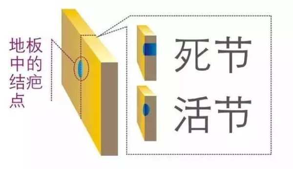兔宝宝地板：如何判断实木地板的好坏