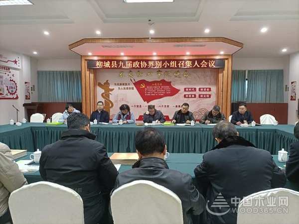 深入交流 柳城县政协主席一行莅临鹏森缘木业产业园参观考察