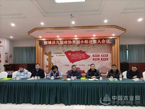 深入交流 柳城县政协主席一行莅临鹏森缘木业产业园参观考察