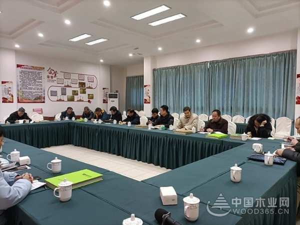 深入交流 柳城县政协主席一行莅临鹏森缘木业产业园参观考察
