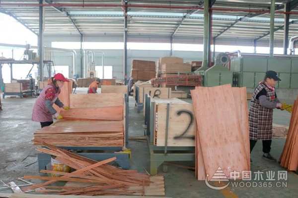 广西壮族自治区应急厅副厅长黄中连率队调研桥牌鹿寨生产基地