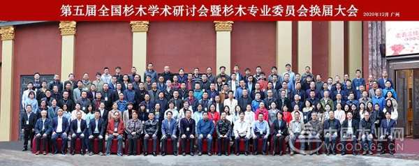 十大生态板品牌|壮象董事长叶新忠当选中国林学会杉木专业委员会常务委员