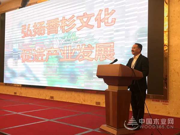十大生态板品牌|壮象董事长叶新忠当选中国林学会杉木专业委员会常务委员