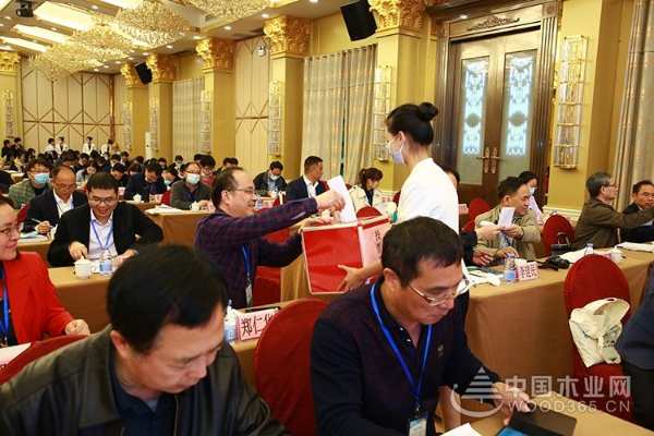 十大生态板品牌|壮象董事长叶新忠当选中国林学会杉木专业委员会常务委员