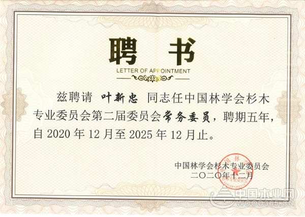 十大生态板品牌|壮象董事长叶新忠当选中国林学会杉木专业委员会常务委员