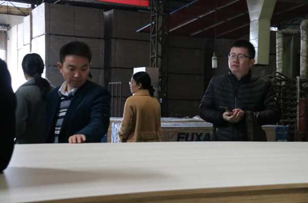 福湘通过“速生人工林绿色产业链循环增效关键技术创新与应用”综合验收