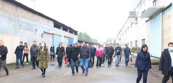 福湘通过“速生人工林绿色产业链循环增效关键技术创新与应用”综合验收