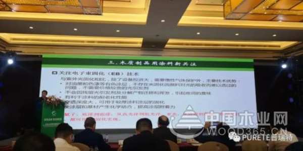 2020全球饰面板大会，付秋霞分享EB电子束技术的原理及应用