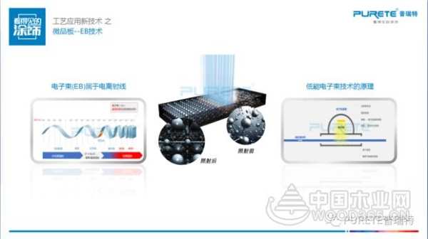 2020全球饰面板大会，付秋霞分享EB电子束技术的原理及应用