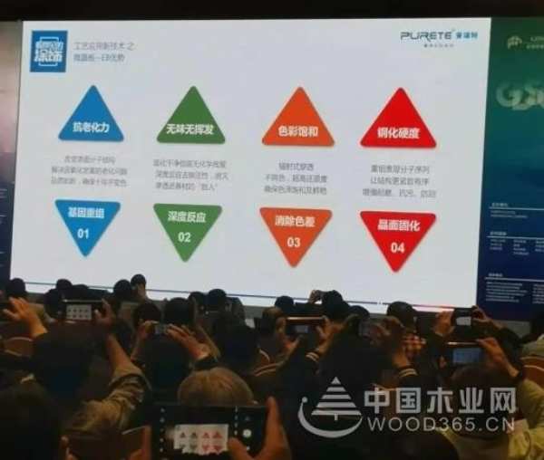 2020全球饰面板大会，付秋霞分享EB电子束技术的原理及应用