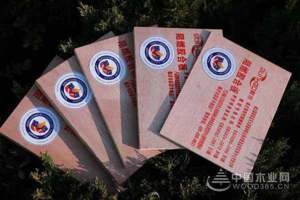 十年深耕细作 群豪木业谱写高质量发展辉煌篇章