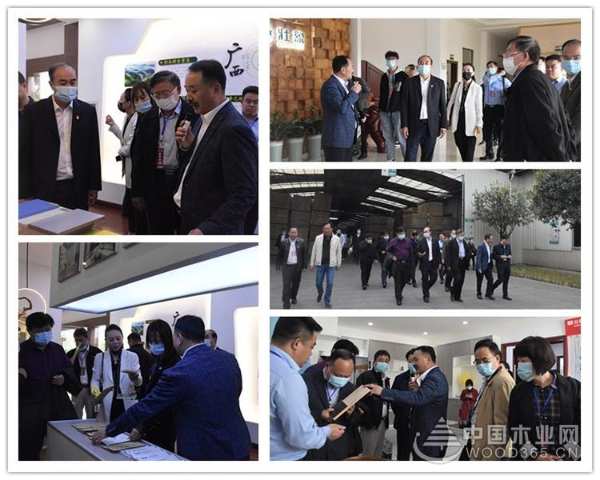 以香杉发展为己任  壮象助力融安产业集群化发展