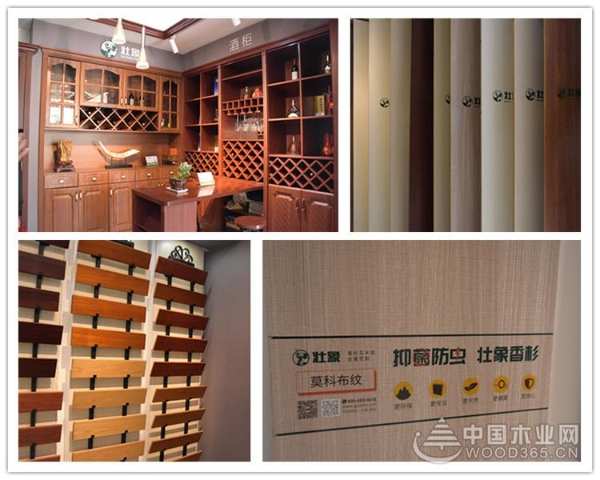 以香杉发展为己任  壮象助力融安产业集群化发展