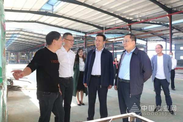 广西林业局领导莅临桥牌木业开展现场调研