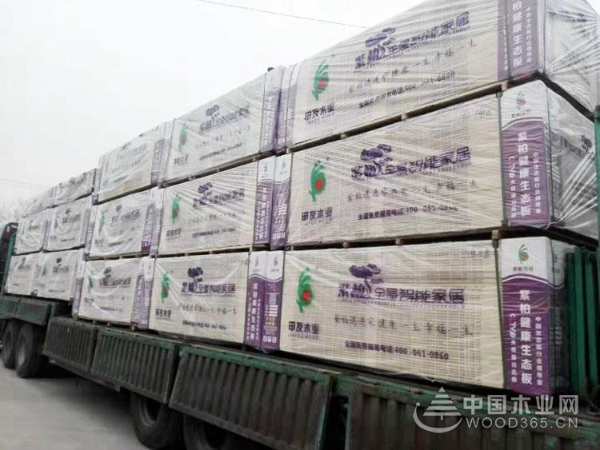 创新领路 砥砺前行 紫柏山新品重磅上市