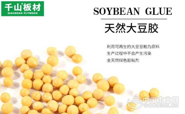 大豆胶板材等更环保的板材将逐渐受到市场推崇