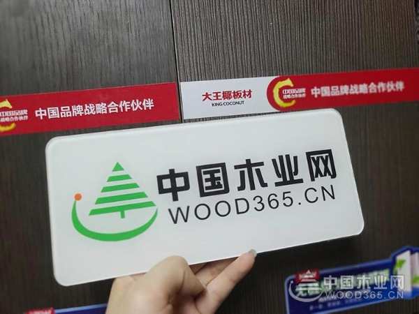 乘风破浪！大王椰再启品牌战略升级新征程