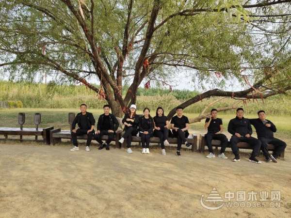 突破自我 不断超越——群豪木业团建活动在台儿庄举行