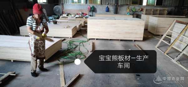 夺冠之路，永不止步！宝宝熊板材致敬中国女排精神！