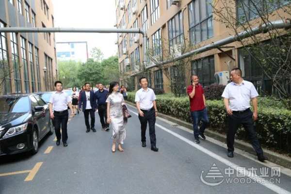 精诚合作，和合共赢——海南装饰协会秘书长王抒一行莅临云峰莫干山考察合作