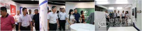 精诚合作，和合共赢——海南装饰协会秘书长王抒一行莅临云峰莫干山考察合作