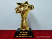 深入人心 福威邦获得板材十大消费者信赖品牌