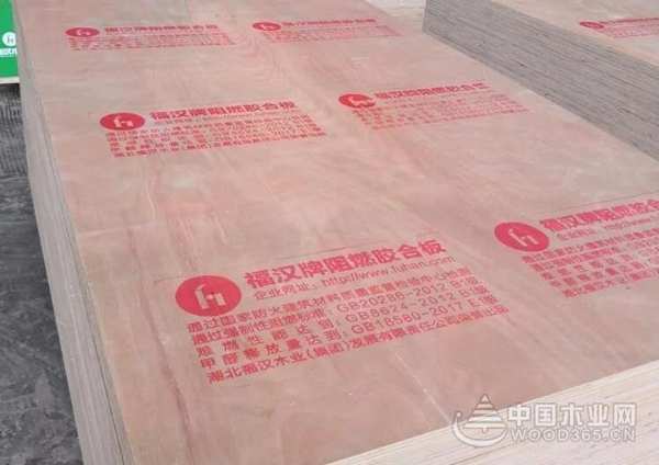 两项荣誉收入囊中，福汉木业金匠榜再创佳绩