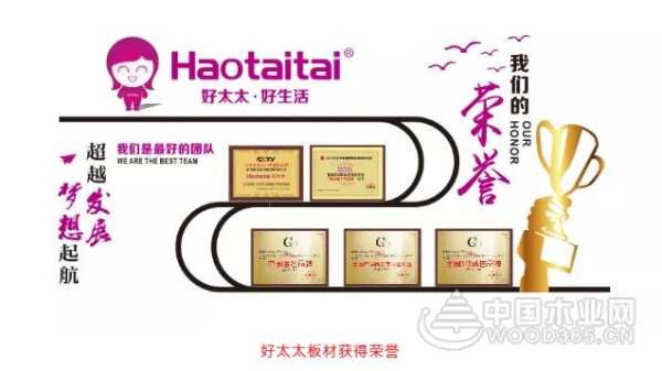 河北商会走访好太太板材