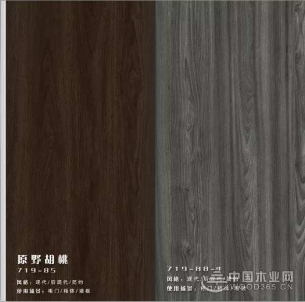 荣耀绽放 天德美琳荣获金匠榜“创新产品板材十大品牌”