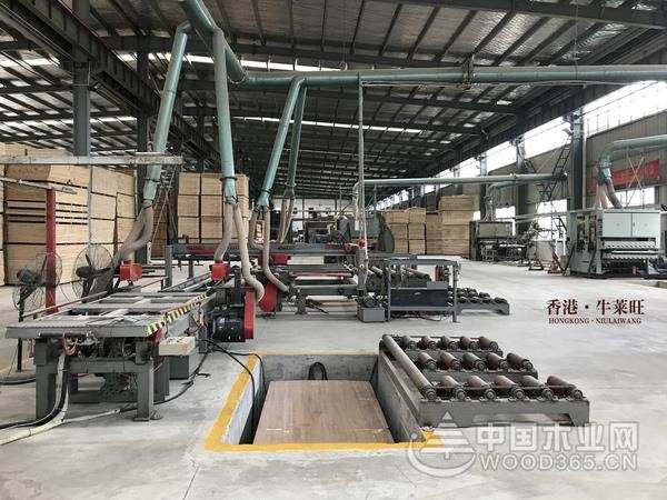 2020金匠榜榜单揭晓：牛莱旺荣获“环保板材十大品牌”！