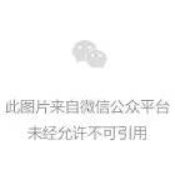 蝉联金榜丨鹏鸿斩获中国板材十大品牌三项殊荣