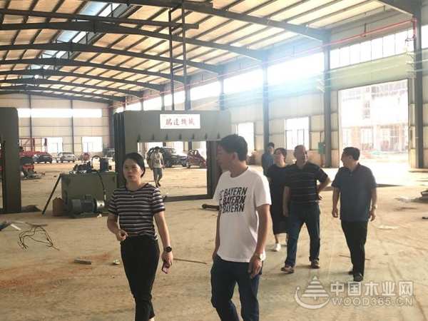 鹿寨县委领导一行莅临桥牌木业调研鹿寨生产基地进程等工作