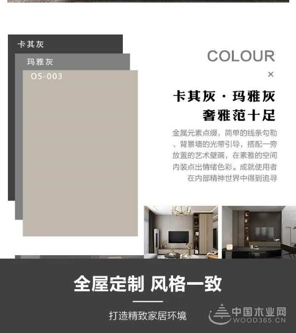 将军牌生态板：玛雅灰·卡其灰带你探索永恒，创造未知的世界