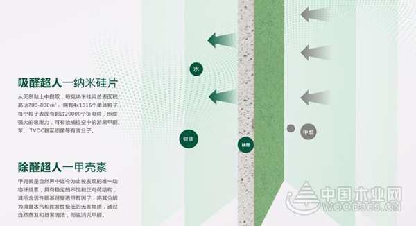 健康卫士，甲醛克星：兔宝宝360°除醛纸面石膏板
