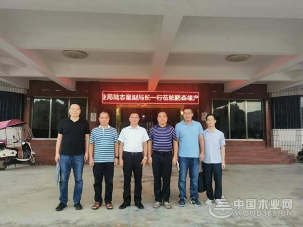 广西壮族自治区林业局领导一行莅临鹏森缘产业园调研