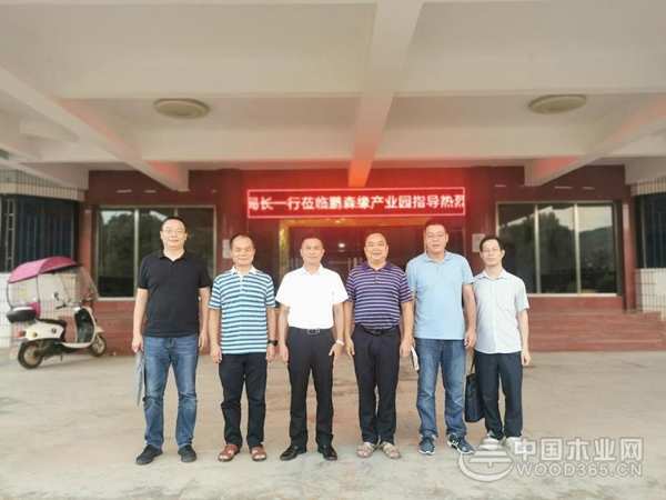 广西壮族自治区林业局领导一行莅临鹏森缘产业园调研