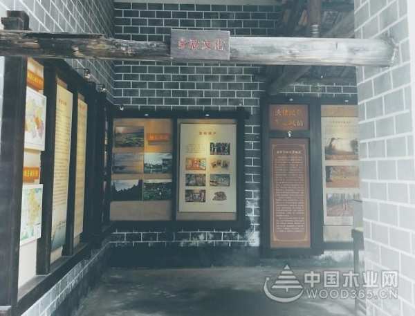 牢记初心使命 弘扬革命精神 鹏森缘开展党员活动