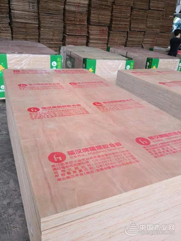 福汉全桉阻燃板 新品上市 环保升级